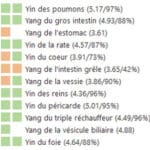 L'énergie des méridiens en orange et vert dans Bio-Well
