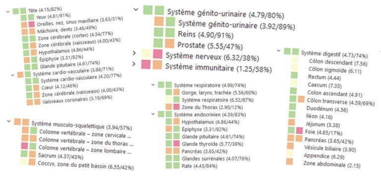 L'énergie des organes orange et rouge dans Bio-Well